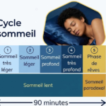 Infographie détaillée des cycles du sommeil de 90 minutes pour la récupération du sportif par Coach Jimmy, coach sportif à La Rochelle.